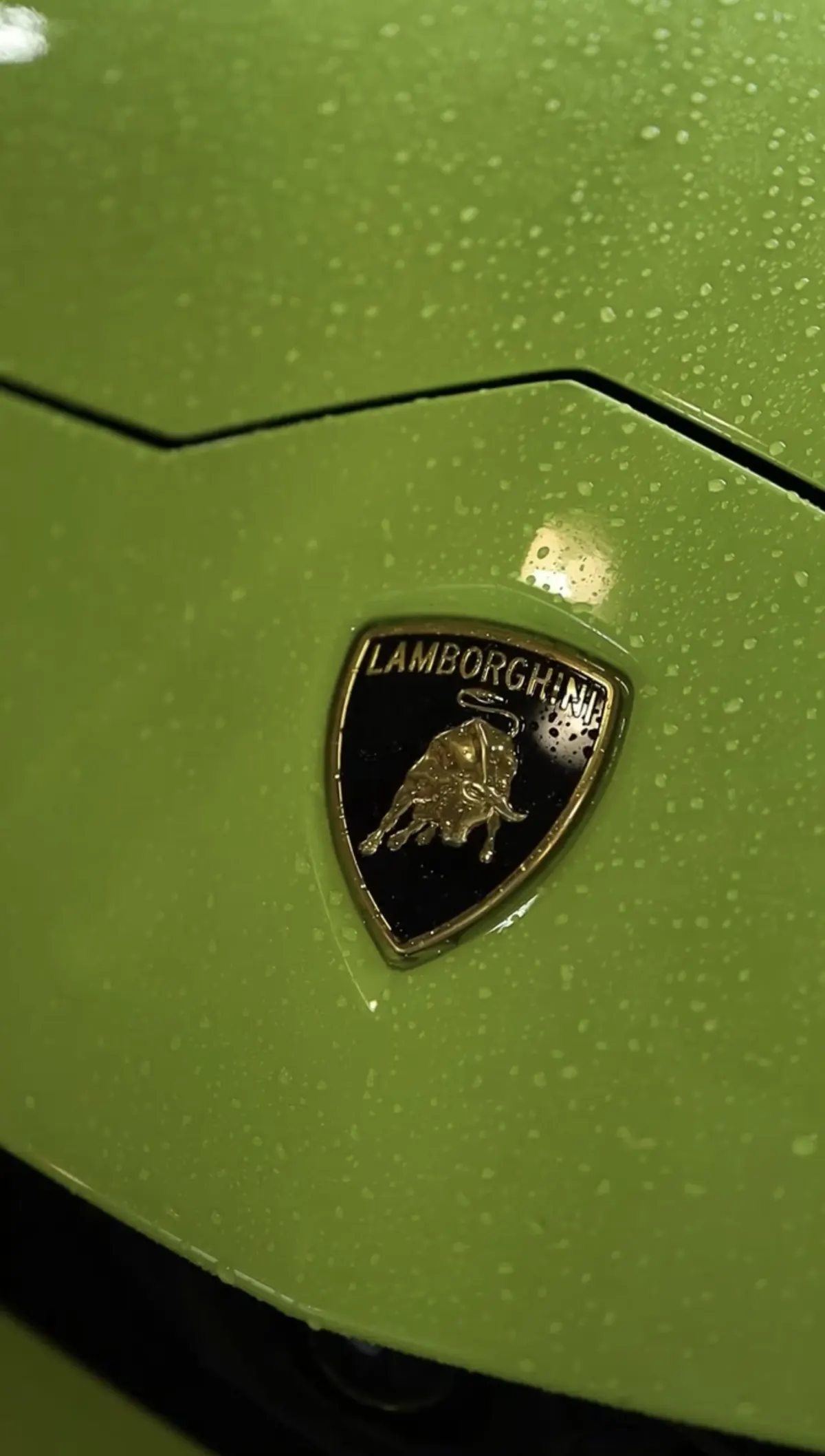 Lamborghini after premium service at American Auto near Sugar Land, TX